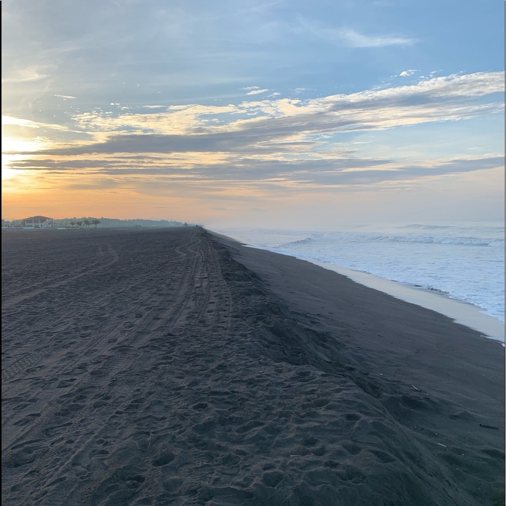 Meet your Posher, Addison